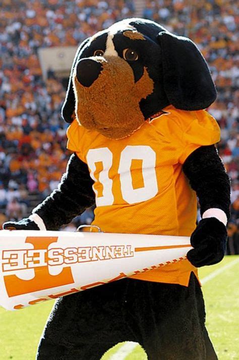 Tennessee Vols costumed mascot - Smokey | Tennessee football, Tennessee mascot, Tennessee ...