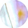 Abbie Silver Drop Earrings in Iridescent Abalone | Kendra Scott