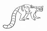 20  Lemur Coloring Pages Free Printable PDF & Online sketch template