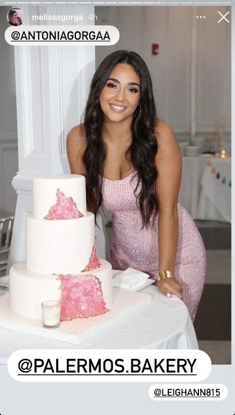 Antonia Gorga's Sweet 16th Birthday Cake: See Photos | Style & Living