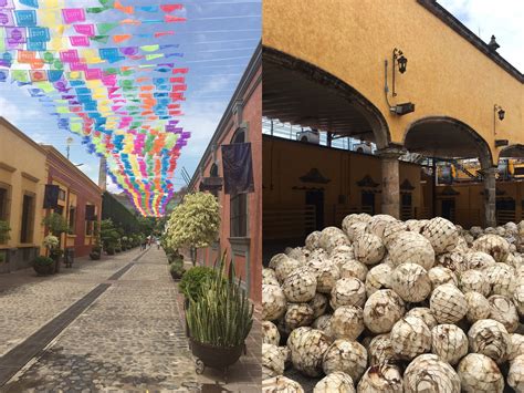 Discovering the Art of Tequila in Jalisco, Mexico | Condé Nast Traveler