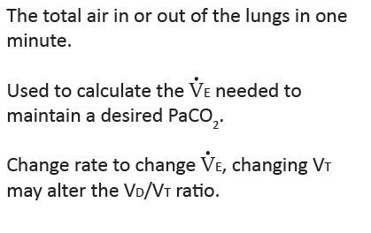 Minute Ventilation (VE) | Member Login | Oakes Academy