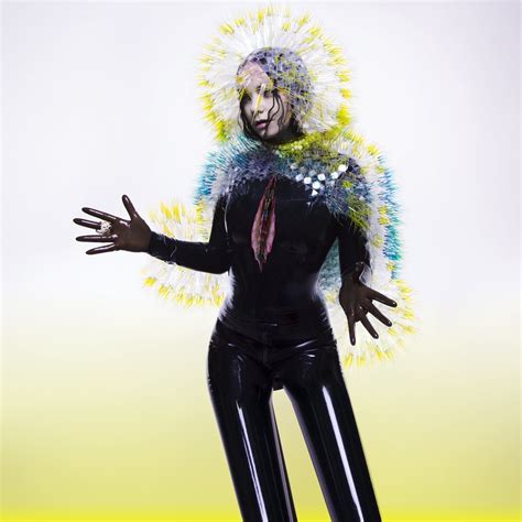 Album Review: Bjork, 'Vulnicura'