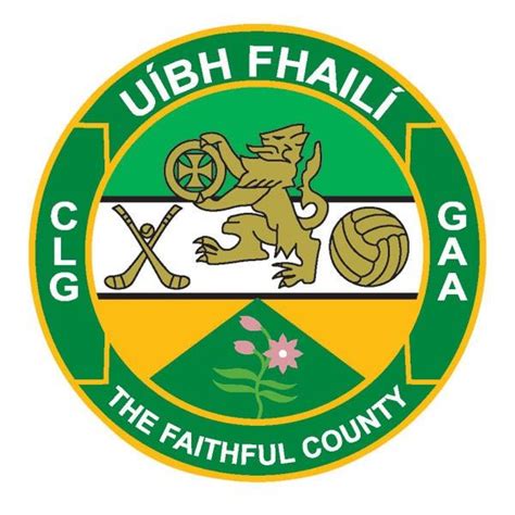 Offaly GAA Flag (Map) 12″x18″ with stick – Team Car Flag Ireland