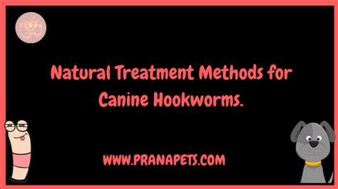 Natural Treatment Methods for Canine Hookworms. – PranaPets.com – Prana ...