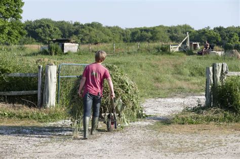 Photos - Round the Bend Farm