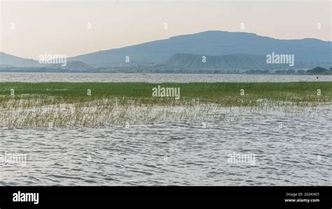 Beautiful Hawassa lake Stock Photo - Alamy