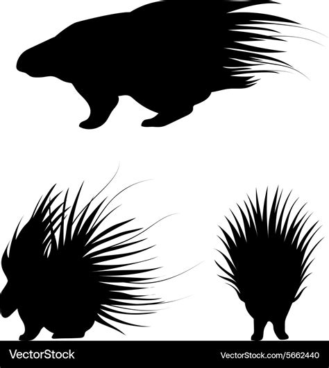 Porcupine silhouettes Royalty Free Vector Image