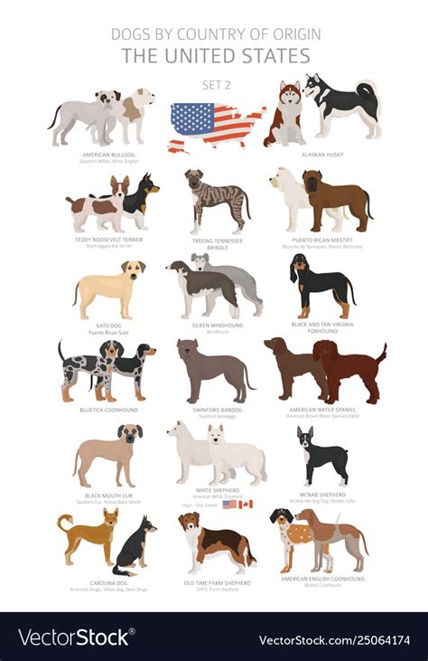 Dogs country origin dog breeds from Royalty Free Vector