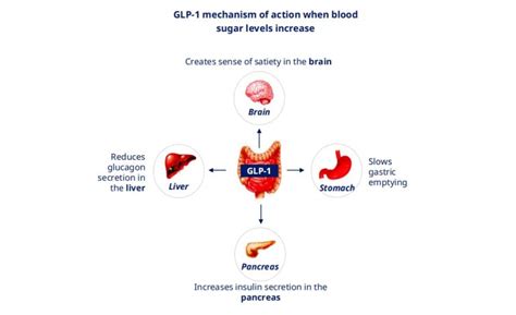 Effectiveness of Semaglutide, Side Effects and Special Precautions ...