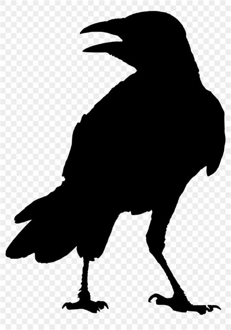 Raven Silhouette Vector at Vectorified.com | Collection of Raven Silhouette Vector free for ...