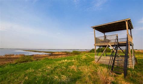 A Birding Trip to the Quill Lakes in Saskatchewan - Hike Bike Travel