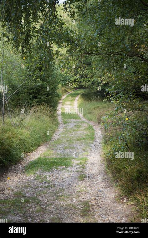 Hiking path winding through the Teutoburg Forest, Germany Stock Photo ...