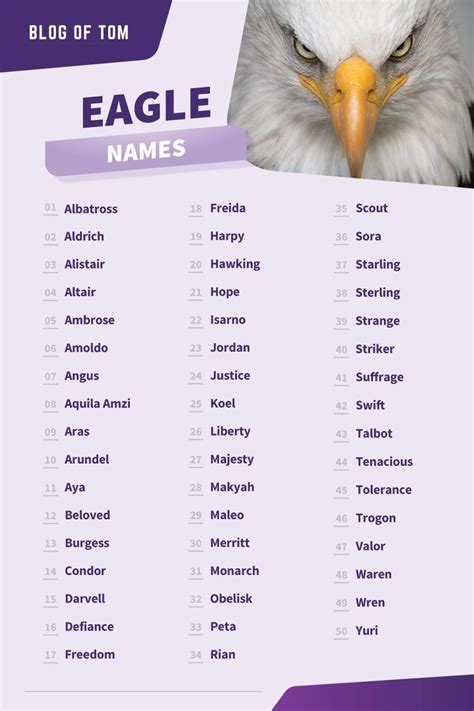 Eagle Names (Best, Good, & Cool Name Ideas) in 2022 | Names, Cool names ...