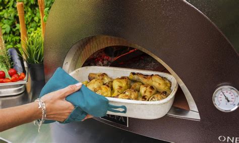 Alfa One Portable Pizza Oven | Cool Material