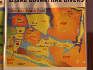 Travel Notes: PADI Open Water Diver Course, Aqaba Adventure Divers, Jordan, November 2009 - Le ...