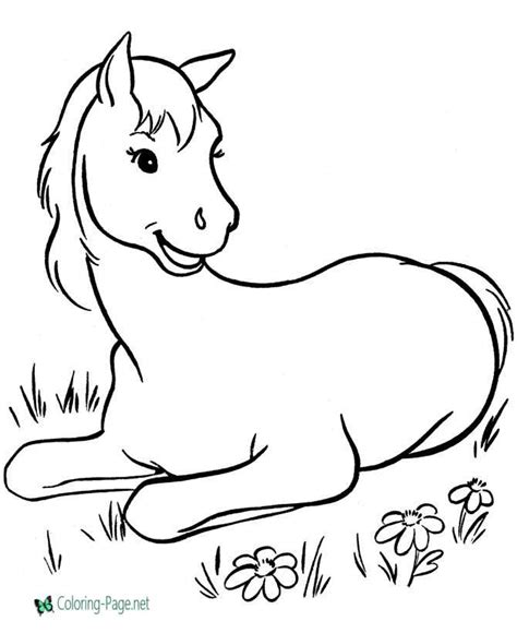 Horse Coloring Pages