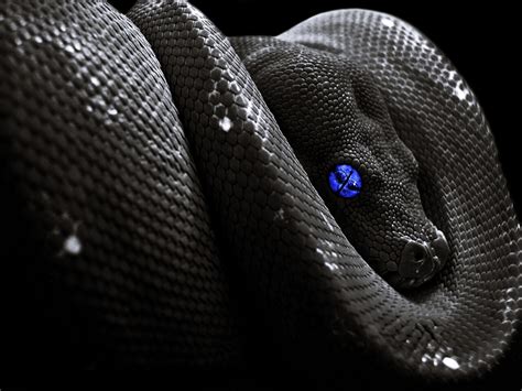 Cool Snake Wallpapers - WallpaperSafari