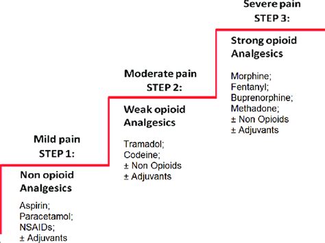 The World Health Organization three-step analgesic ladder | Download ...