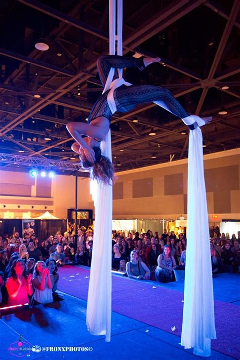 Performances on Aerial Silks Hoop and Pole Dancing