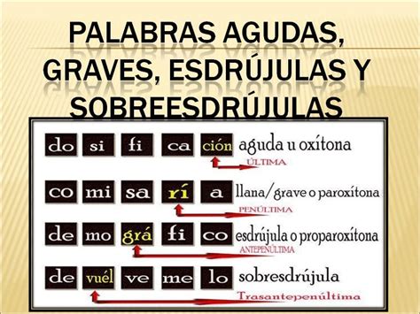 Ficha De Palabras Agudas Graves Y Esdrujulas Para Segundo De Primaria B ...