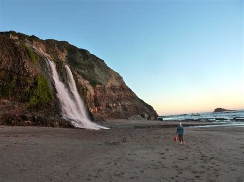 Point Reyes Hiking Trails (Point Reyes Station, CA): Award Winning - Top Tips Before You Go ...