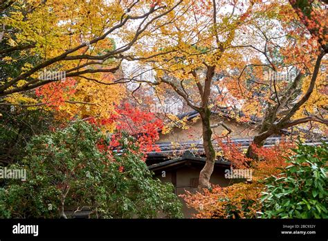 Old Japanese style house in colorful garden Stock Photo - Alamy