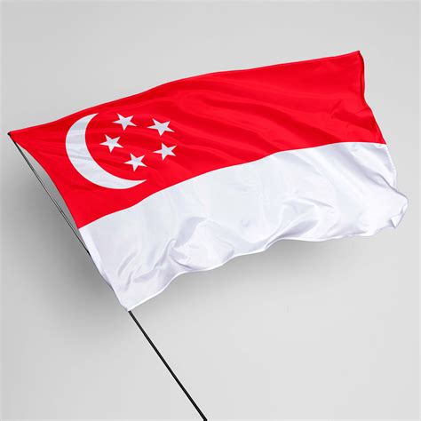 History Of The Singapore Flag What It Could Have Look - vrogue.co