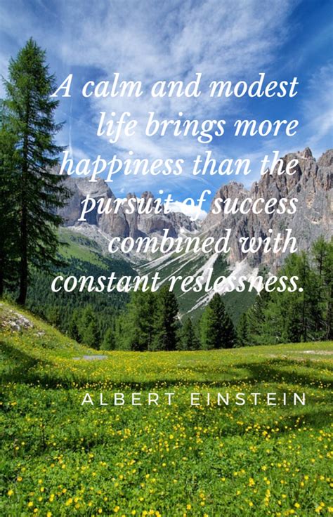 Einstein's Theory Of Happiness - The Retirement Manifesto