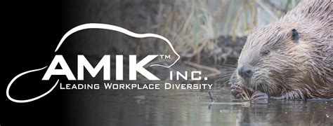 AMIK Delivers Soft Skill Training to Pinaymootang First Nation - AMIK Inc.