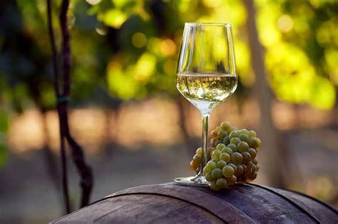 Oaked vs Unoaked Chardonnay Taste | Halleck Vineyard
