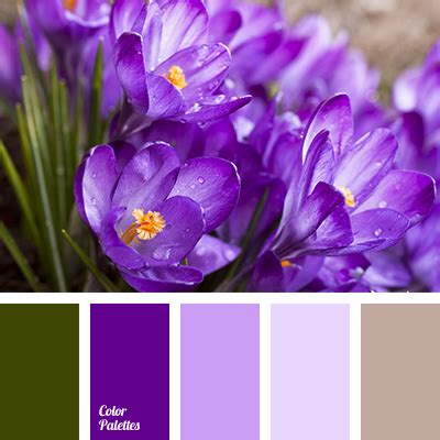 shades of blue-purple | Color Palette Ideas