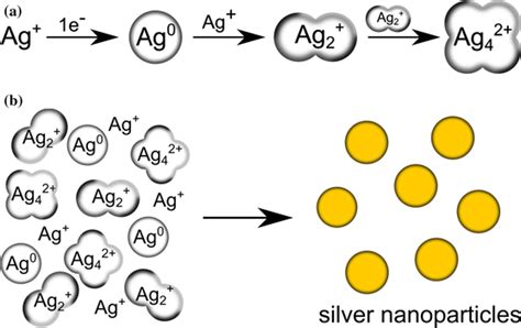 Chemical scheme of silver nanoparticle synthesis: a synthesis of... | Download Scientific Diagram