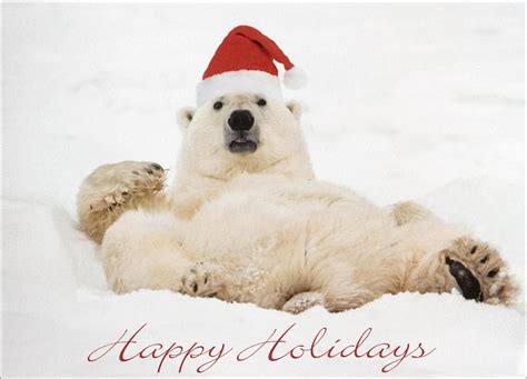 Christmas Polar Bear Wallpaper - WallpaperSafari