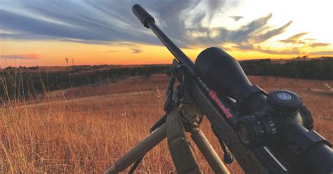 Five Ways to Trash a Coyote Hunt | Grand View Outdoors