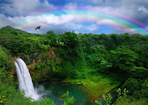 Top Waterfalls in Kauai - Recommendations for Tours, Trips & Tickets ...