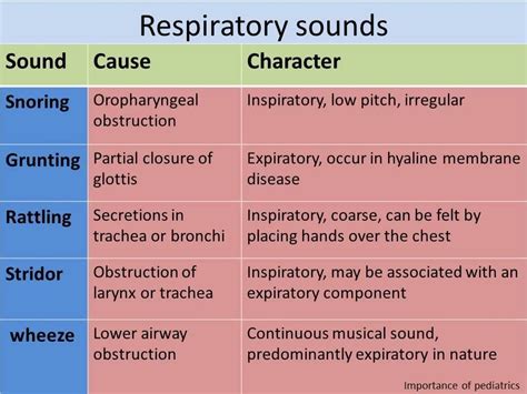 #Respiratory #Sounds | Respiratory sounds, Nursing student tips ...