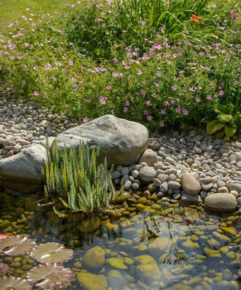 Wildlife pond edging ideas: 10 nature-friendly designs for your ...