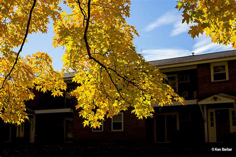 Fall Foliage - Cooperstown, NY 2015 photos