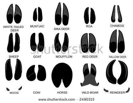 clipart of horses feet print black and white - Clipground