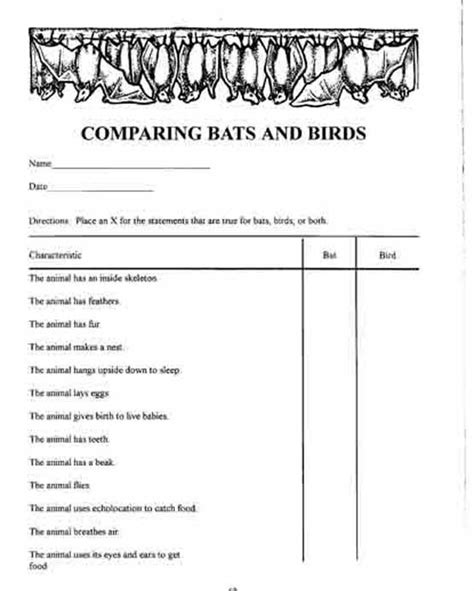 Comparing Bats and Birds - Ozark National Scenic Riverways (U.S. National Park Service)