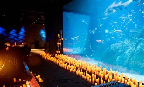 Adventure Aquarium (Philadelphia): Events & Tickets | Fever