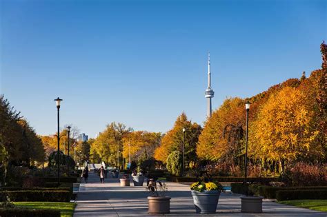 What to Do at Toronto Island Park in the Winter Season - Lost in Toronto