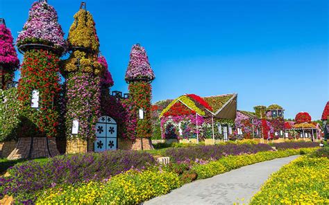 15 Unbelievable Attractions at Dubai Miracle Garden for 2019 | MyBayut