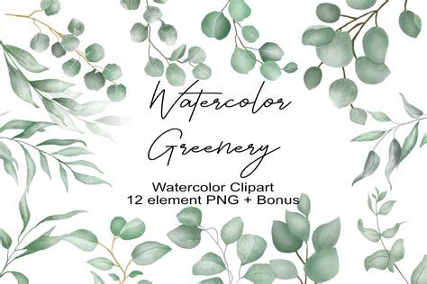 Watercolor Eucalyptus Clipart Graphic by Dekka Graph · Creative Fabrica