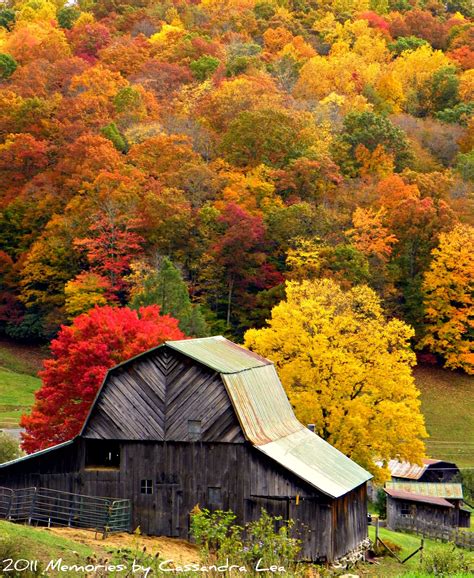 Fall Foliage Hot Spots | Old barns, Country barns, Barn