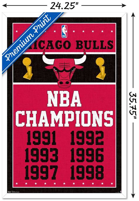 NBA Chicago Bulls - Champions | eBay