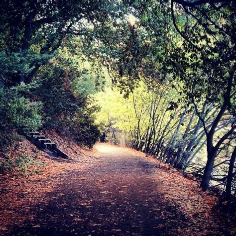 Los Gatos Creek Trail | Hiking trails california, California hikes, Los ...