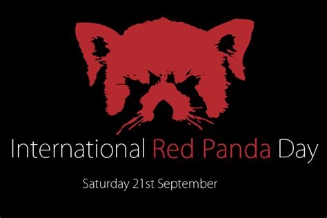 Alma Park Zoo’s International Red Panda Day