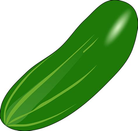 Cucumber Eat Edible · Free vector graphic on Pixabay